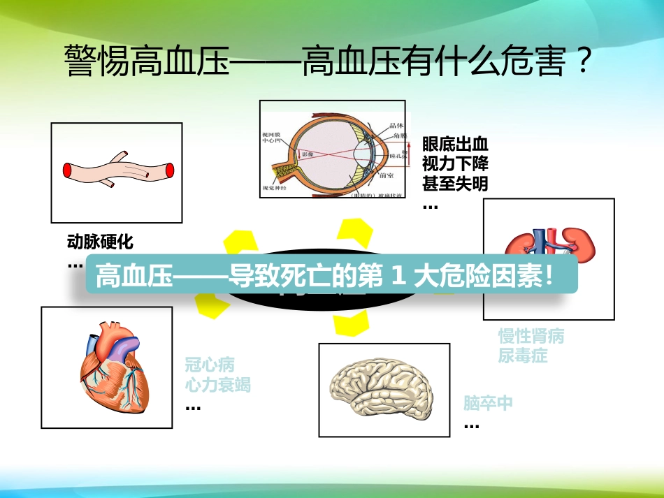 尿毒症患者的血压控制_第5页