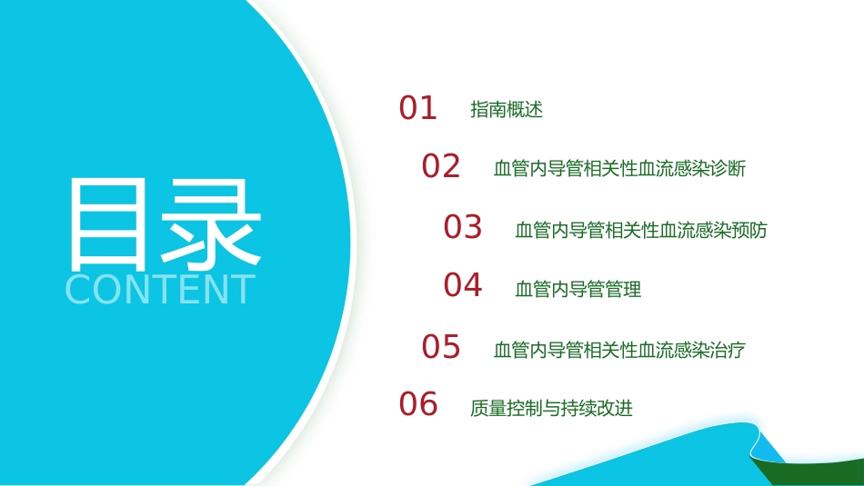 血管内导管相关性血流感染预防与诊治指南(2025)解读PPT_第2页