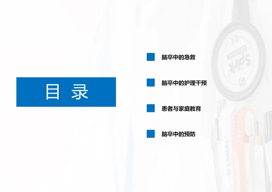 中国脑卒中护理指导规范_第2页