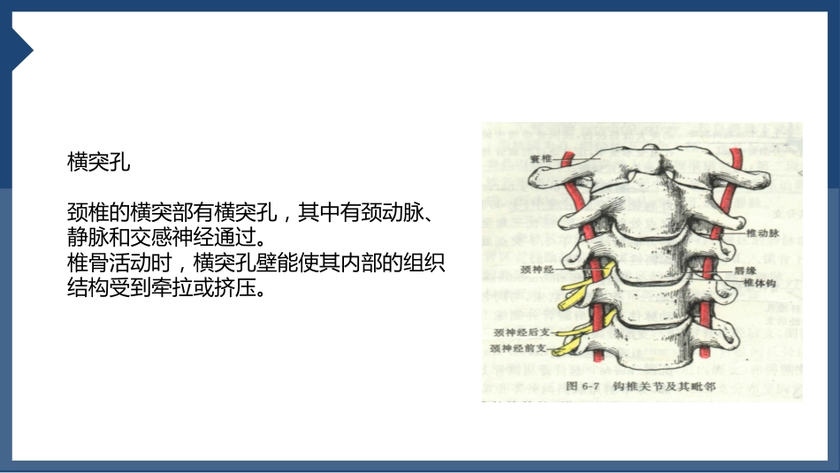 颈椎病_第14页