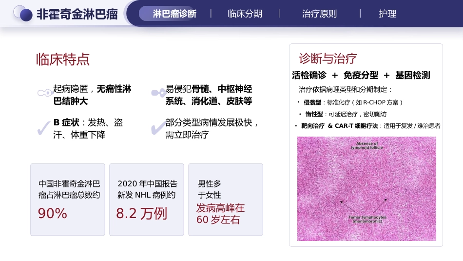 淋巴瘤的治疗与护理_第15页