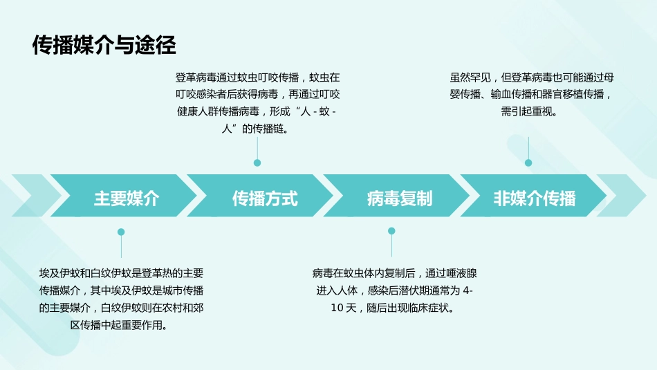 登革热诊疗方案(2024年版)PPT课件_第5页