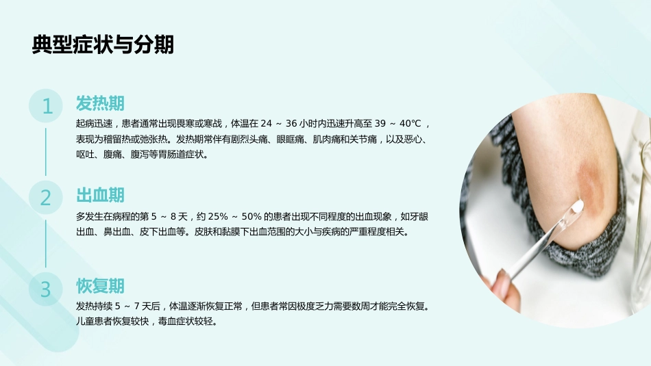 登革热诊疗方案(2024年版)PPT课件_第8页