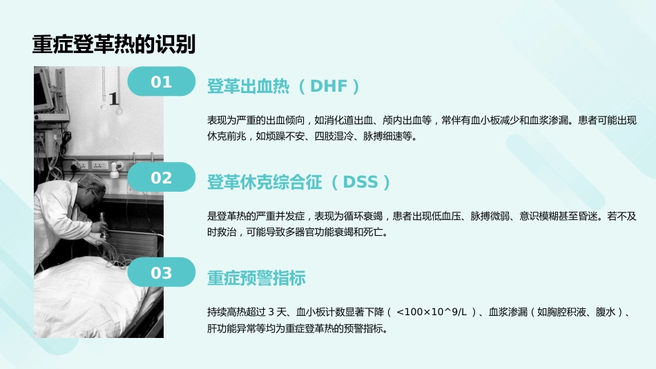 登革热诊疗方案(2024年版)PPT课件_第9页