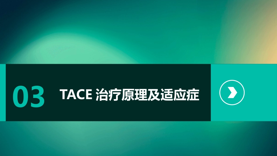 中国肝细胞癌经动脉化疗栓塞(TACE)治疗临床实践指南解读PPT课件_第11页