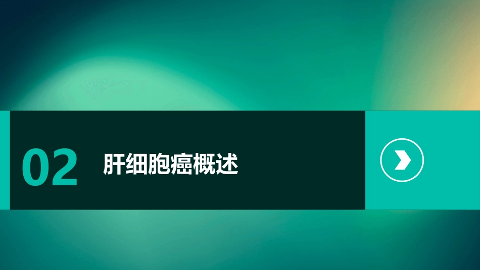 中国肝细胞癌经动脉化疗栓塞(TACE)治疗临床实践指南解读PPT课件_第7页
