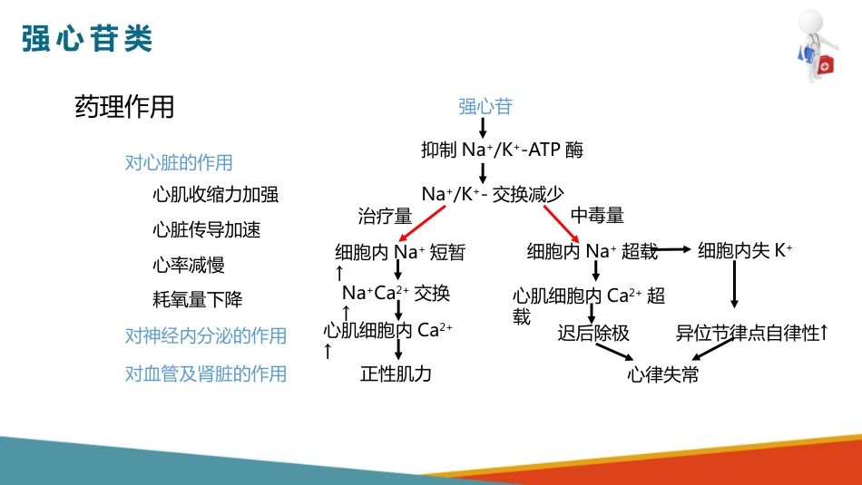心血管系统药物用药护理-抗心功能不全药-强心苷类_第6页