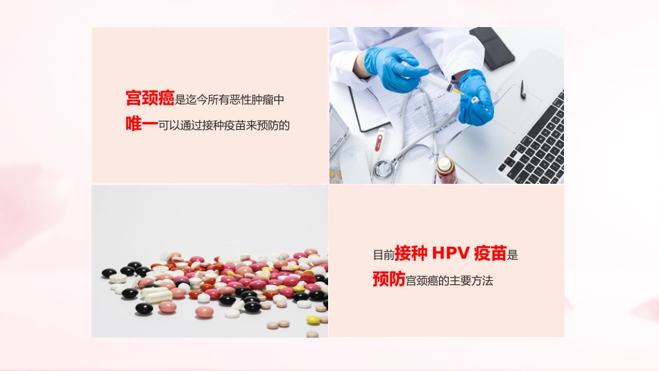 宫颈癌和HPV01_第13页