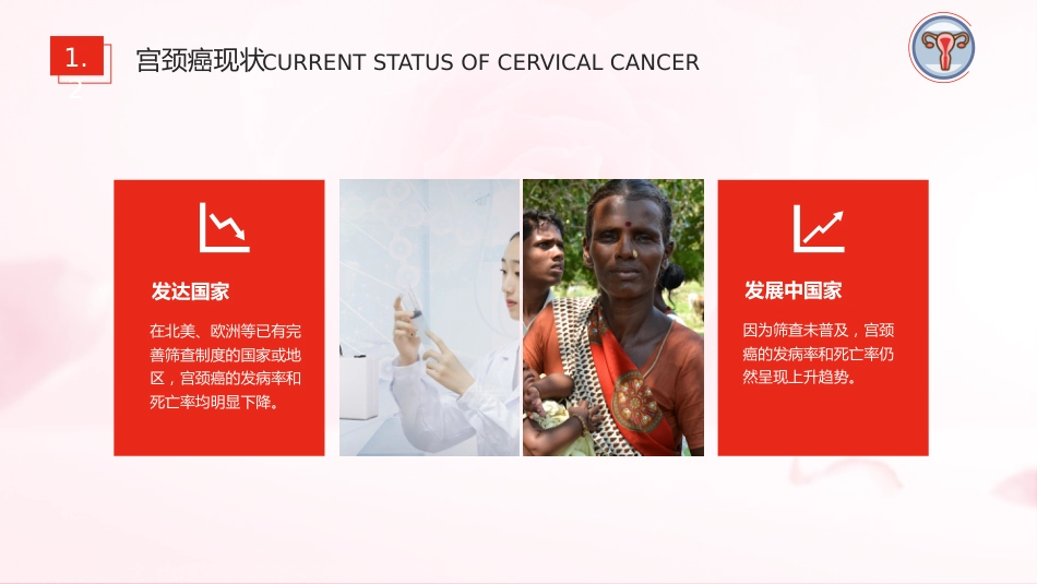 宫颈癌和HPV01_第5页