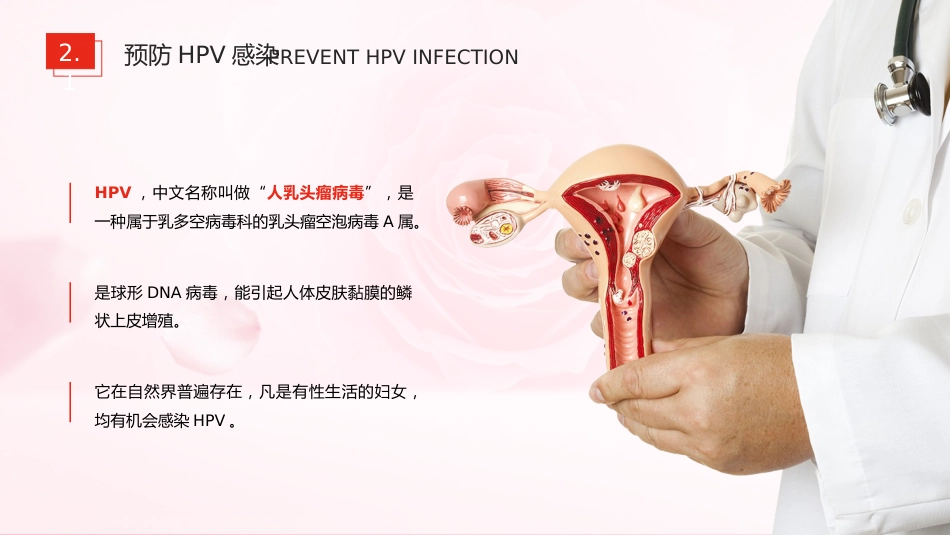 宫颈癌和HPV01_第7页