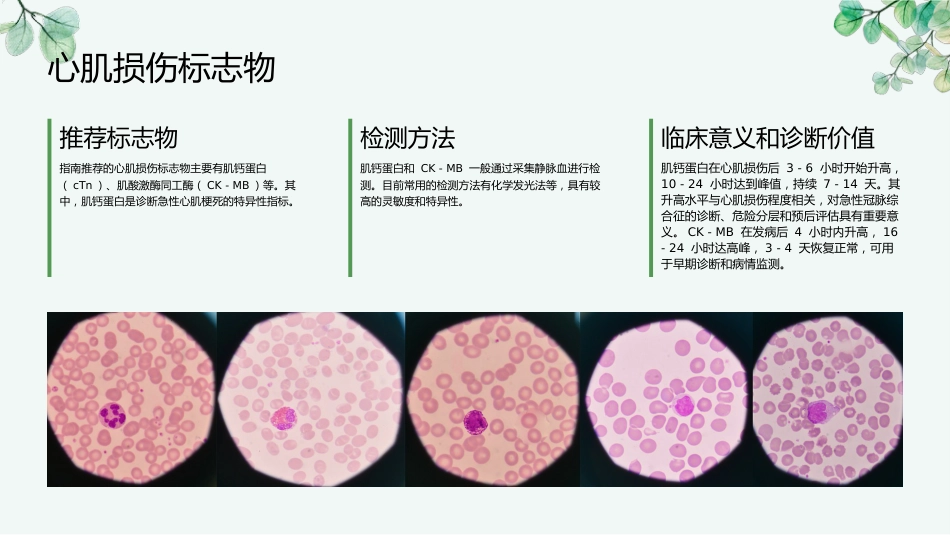 2025acc急性冠脉综合征指南解读ppt_第12页