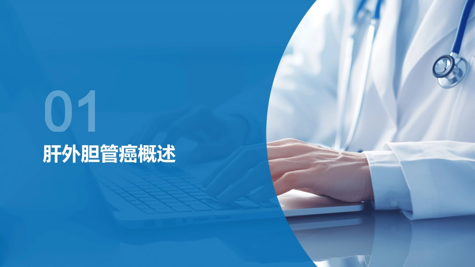 肝外胆管癌和胆囊癌临床诊疗指南2024版_第3页