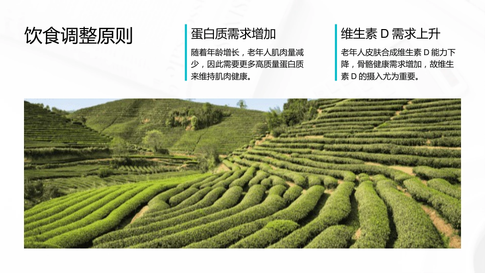 老年患者营养评估与干预_第12页
