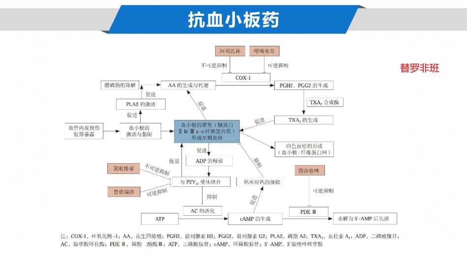 中国急性缺血性卒中诊治指南2023课件_第13页