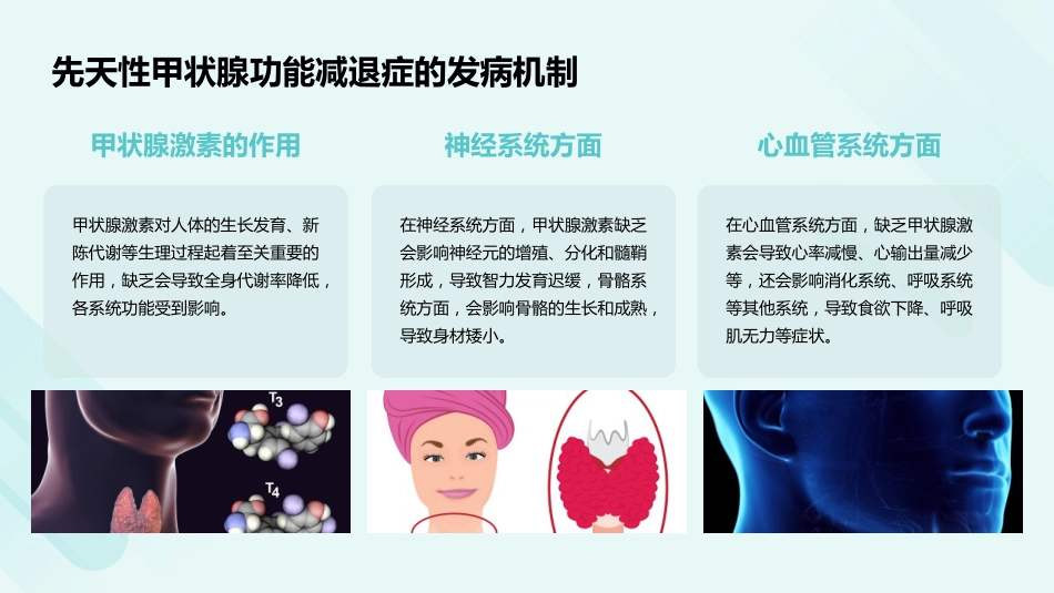 先天性甲状腺功能减退症诊治指南解读PPT课件_第13页