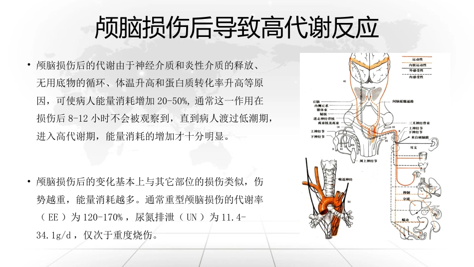 重症脑损伤患者的营养治疗_第3页