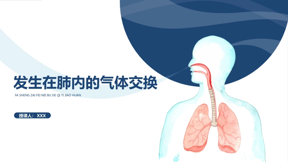 发生在肺内的气体交换1_第1页
