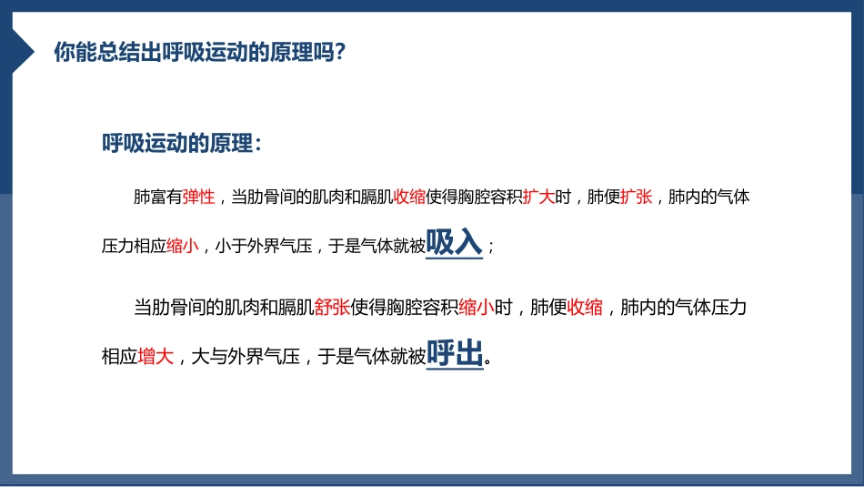 发生在肺内的气体交换1_第11页