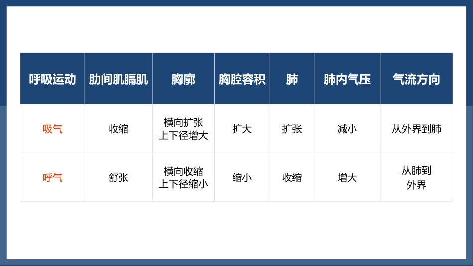 发生在肺内的气体交换1_第12页