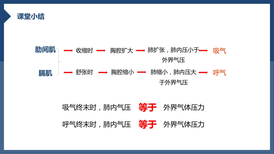 发生在肺内的气体交换1_第13页