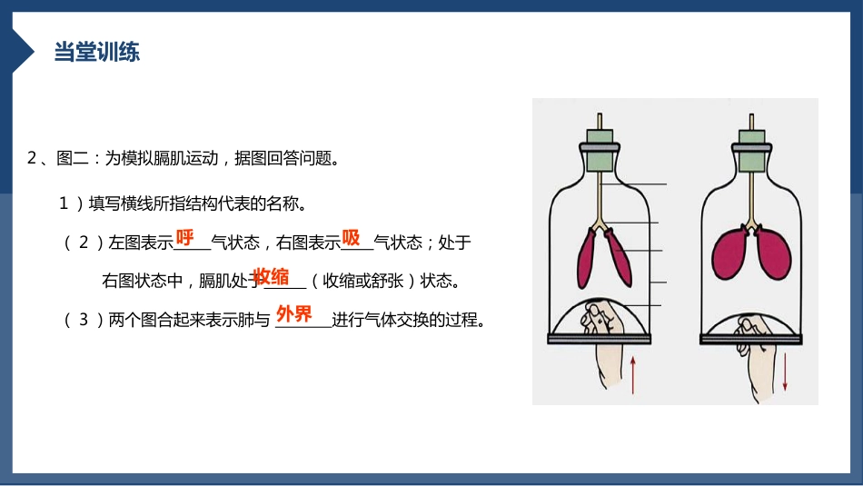 发生在肺内的气体交换1_第15页
