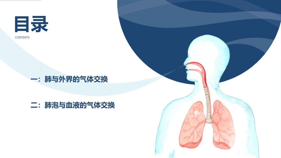 发生在肺内的气体交换1_第2页