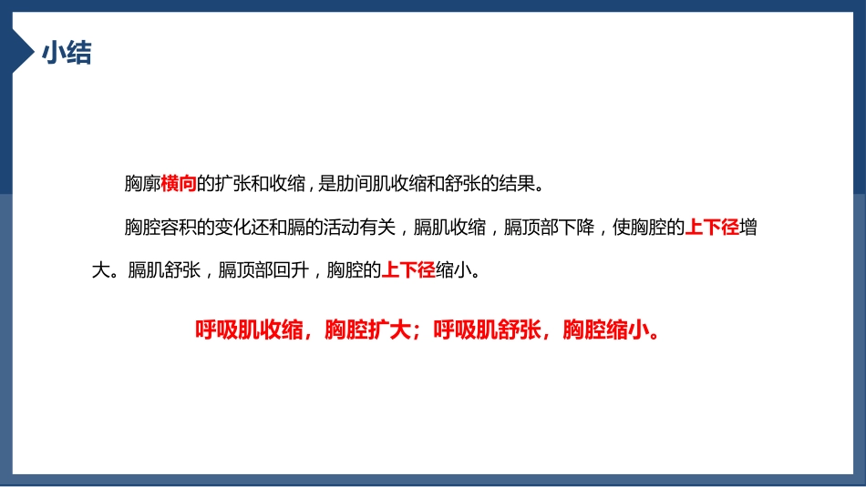 发生在肺内的气体交换1_第7页