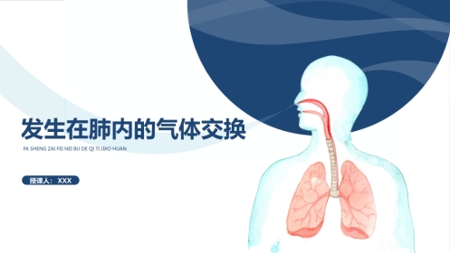 发生在肺内的气体交换1