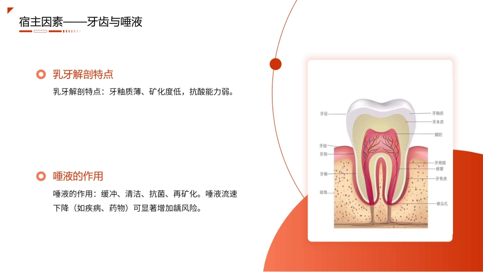 儿童龋病护理查房带参考文献_第10页