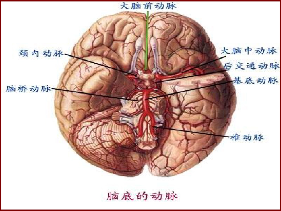 脑血管疾病病人的护理_第10页