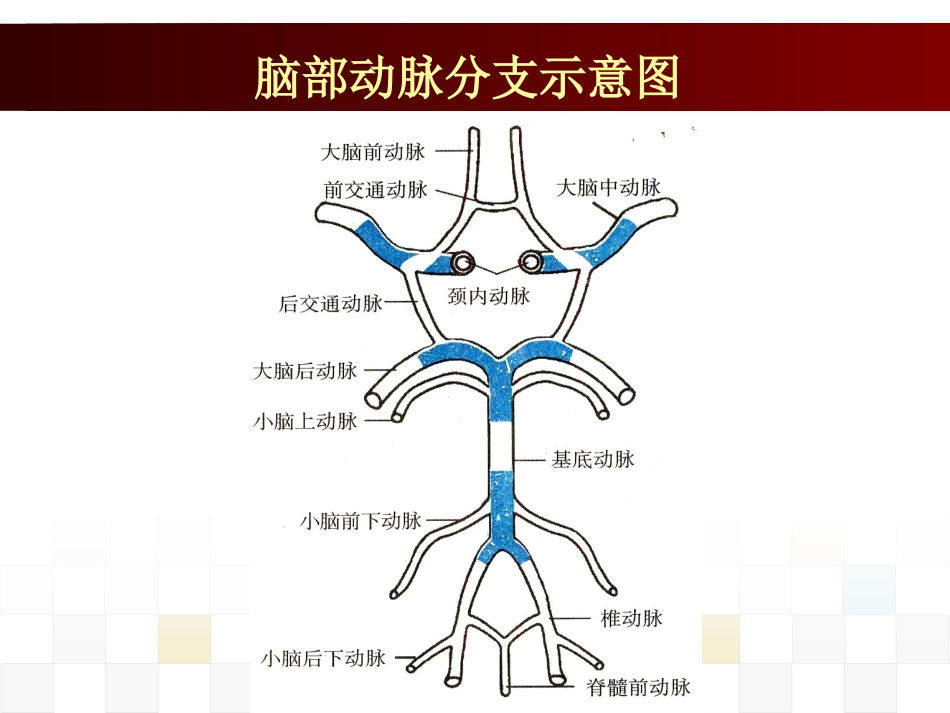 脑血管疾病病人的护理_第8页