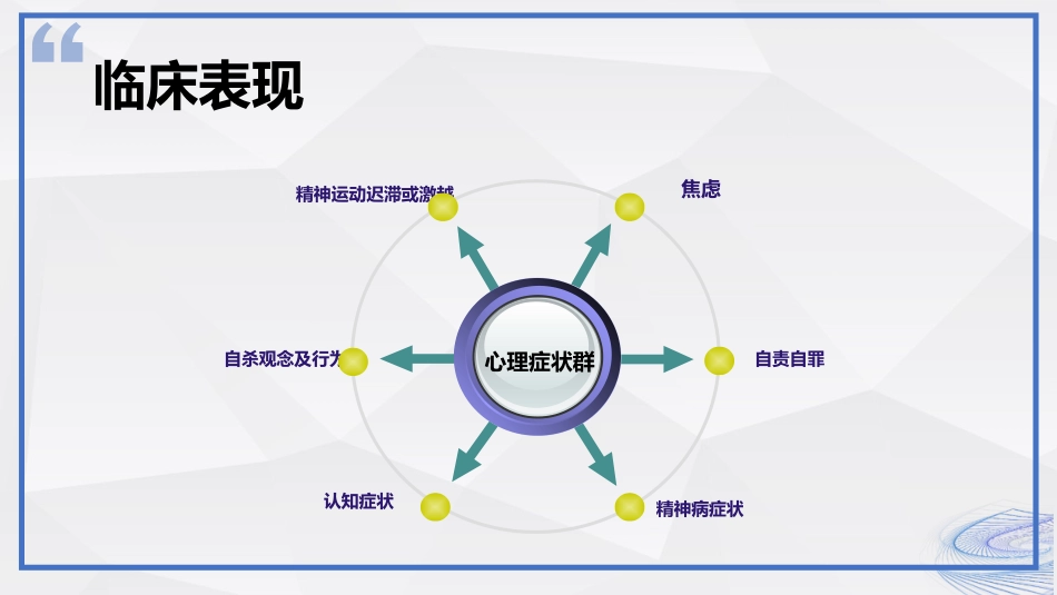 抑郁症的治疗及护理_第13页