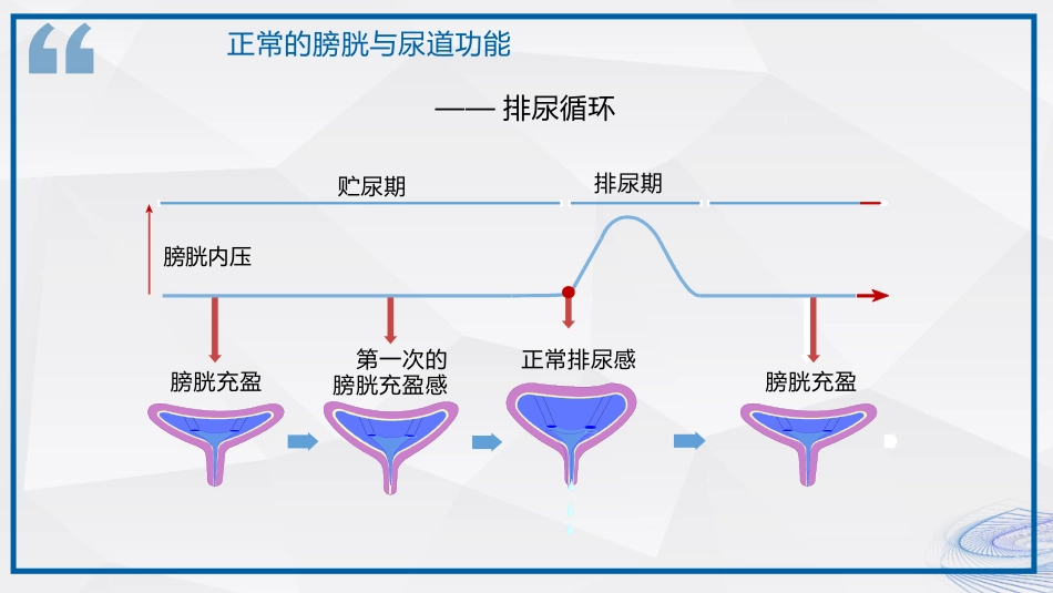 间歇性导尿技术_第5页