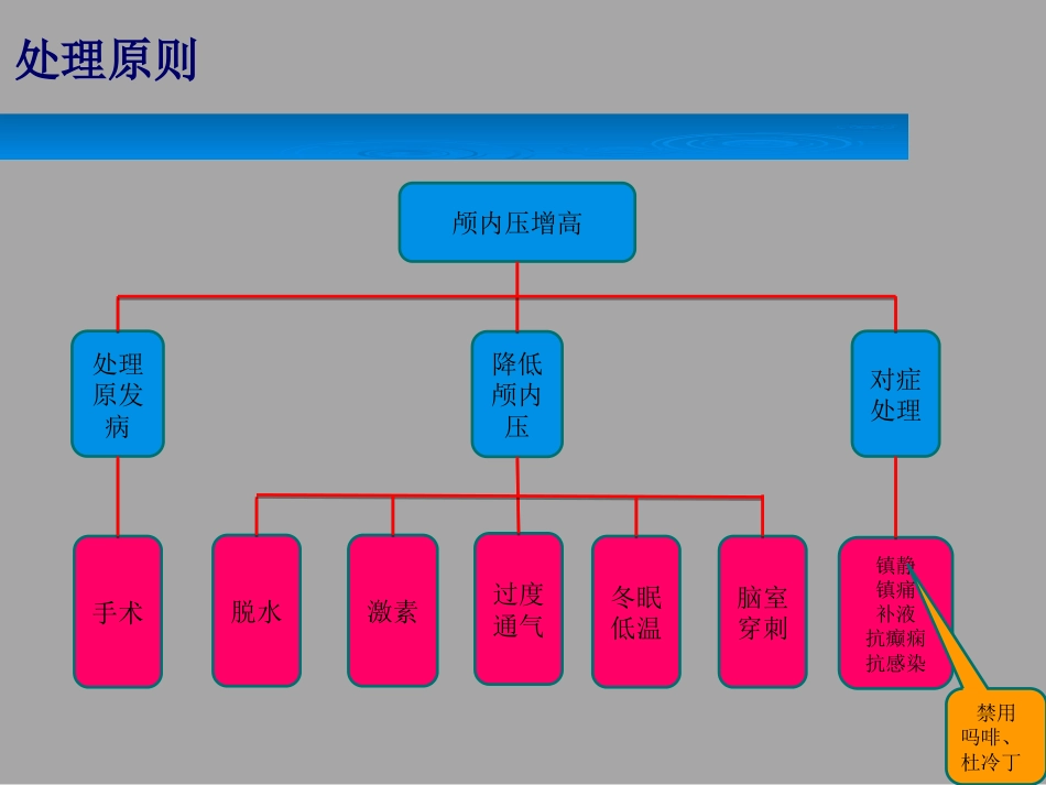 颅内压增高的护理_第12页