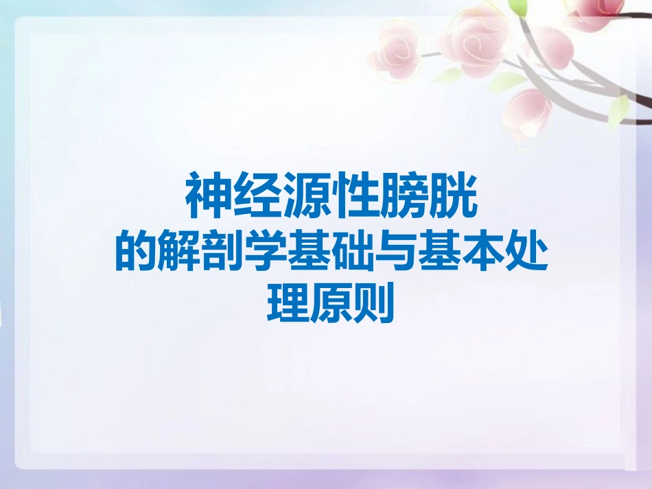 神经源性膀胱的基本处理原则_第1页