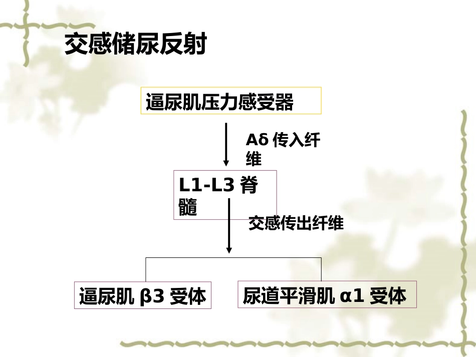 神经源性膀胱的基本处理原则_第13页