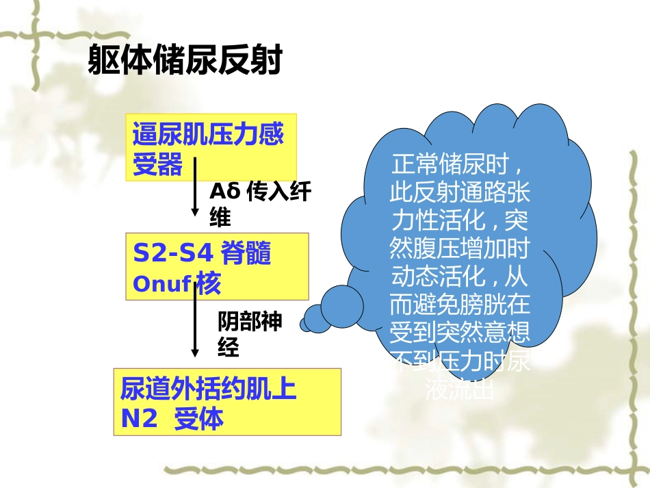 神经源性膀胱的基本处理原则_第15页
