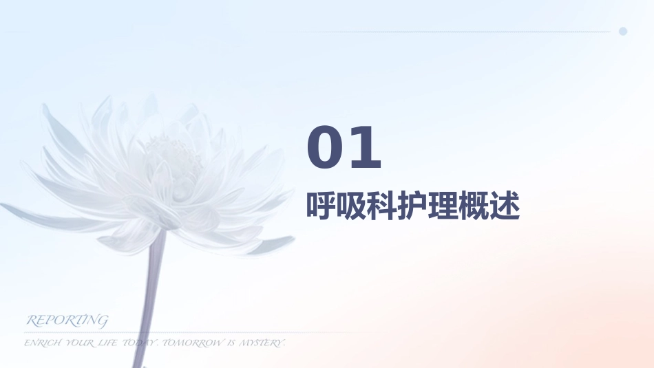 呼吸科护理_第3页