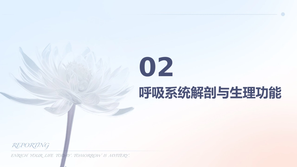 呼吸科护理_第7页