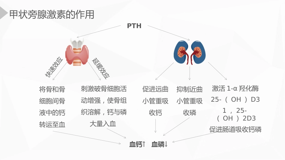 内科护理：甲状旁腺功能减退症护理_第5页