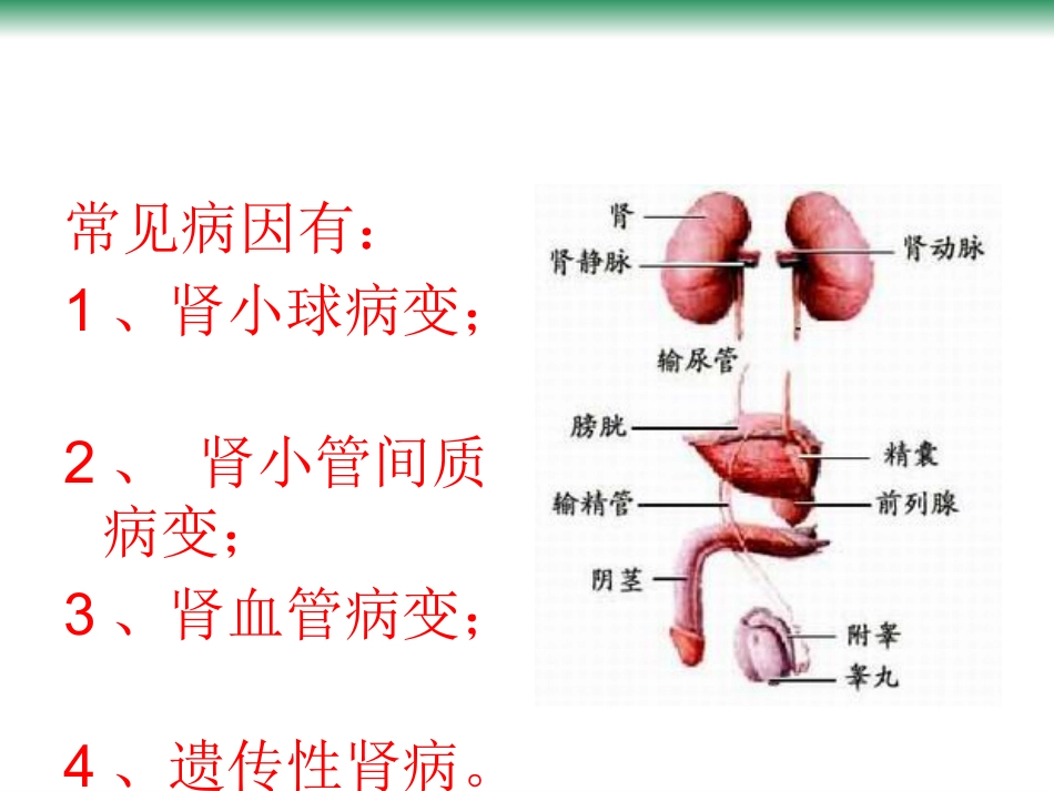 尿毒症的常见病因_第2页