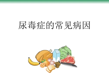 尿毒症的常见病因