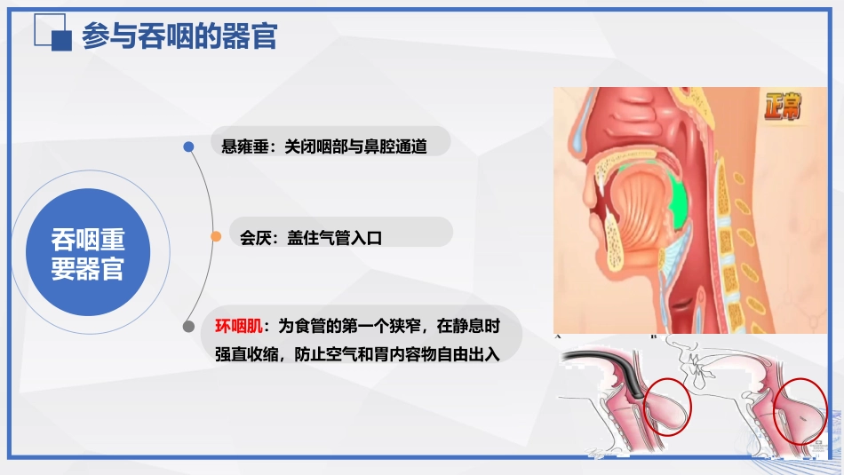 脑卒中吞咽障碍患者的评估与护理_第8页