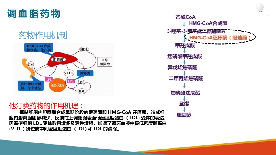 心血管系统药物用药护理-调血脂药-降低TC和LDL的药_第5页