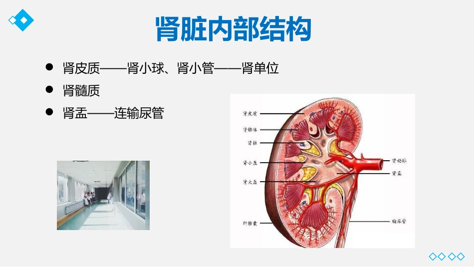 尿毒症护理业务教学课件_第4页