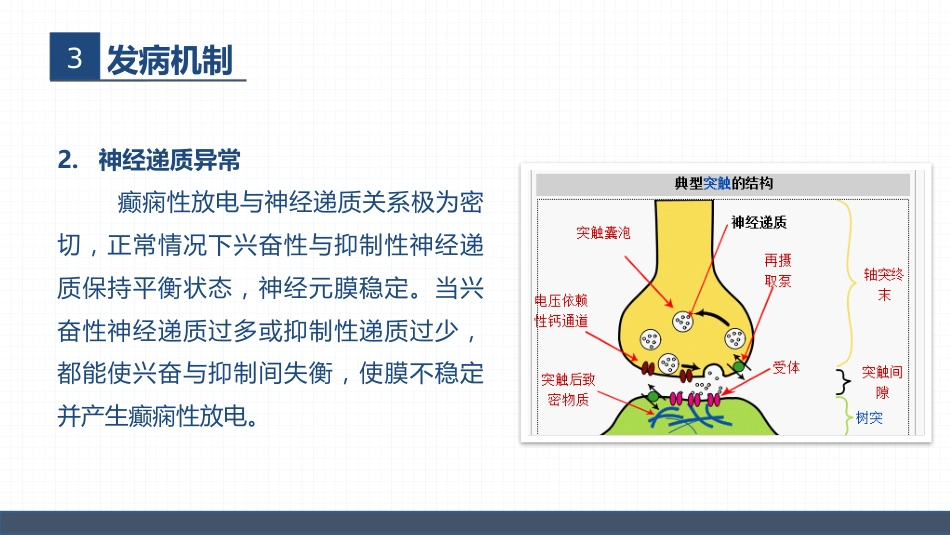 症状性癫痫患者的护理查房_第11页