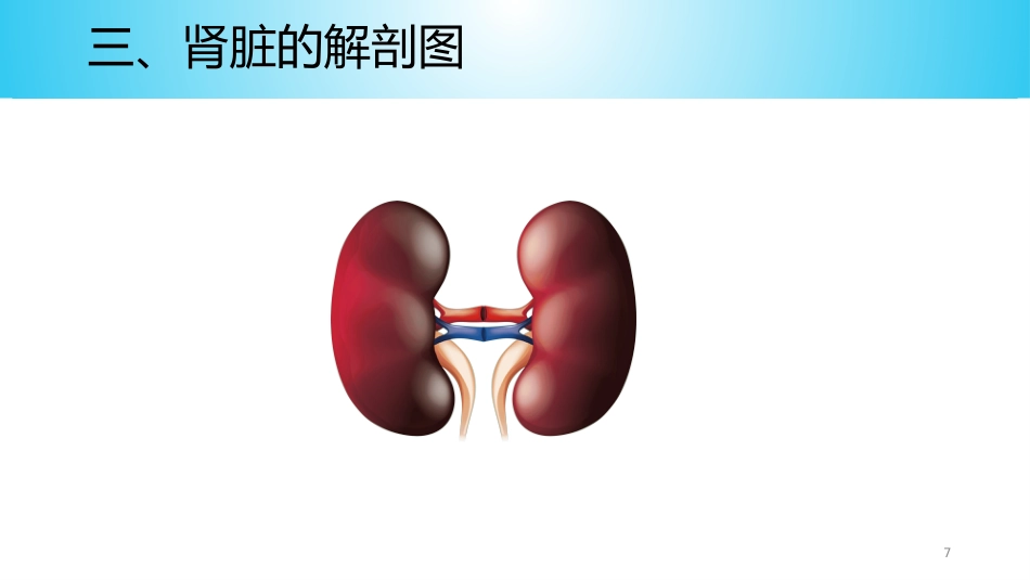 尿毒症病人的护理ppt课件_第7页