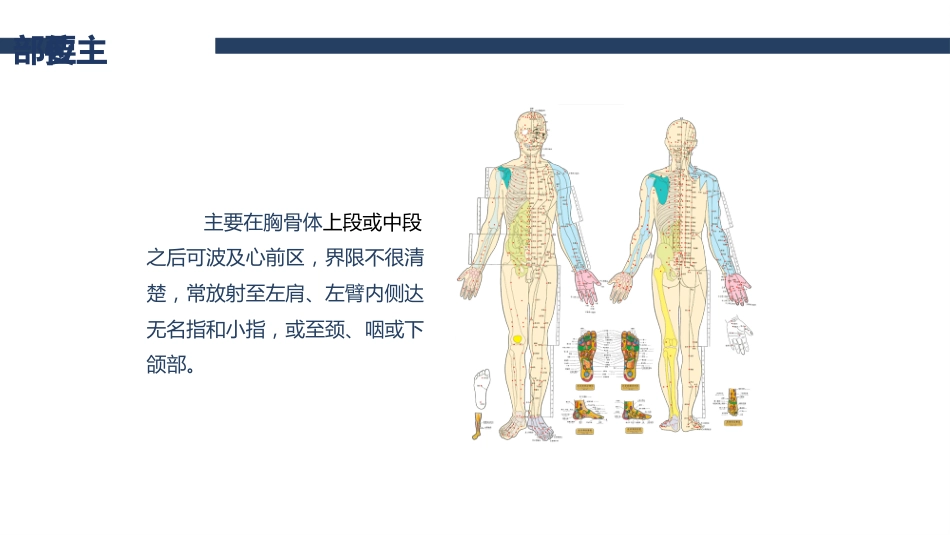 内科护理：冠心病护理查房_第12页