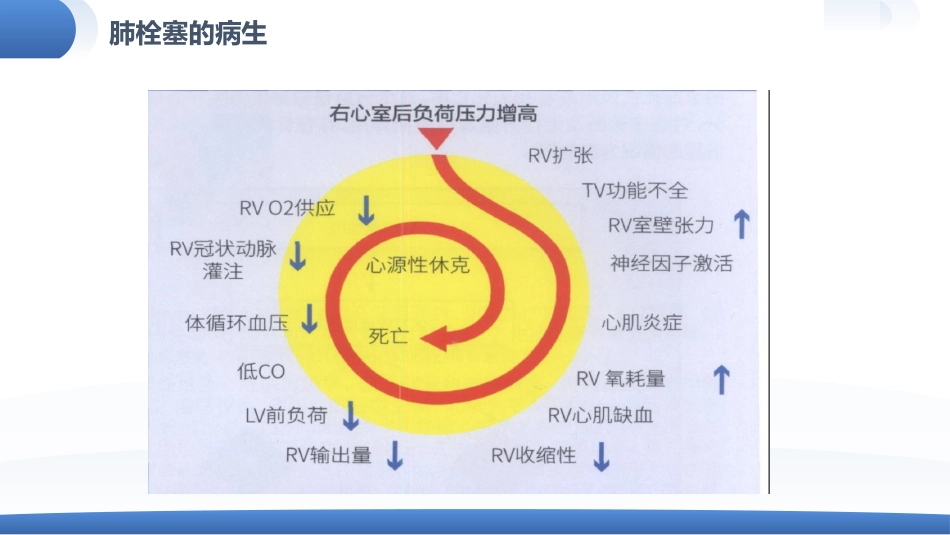 肺栓塞患者护理查房_第10页