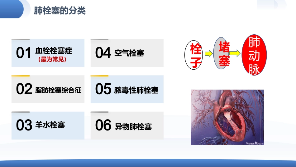 肺栓塞患者护理查房_第6页